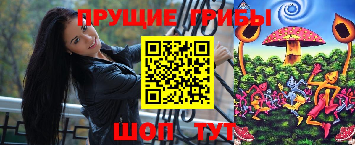 Камень-на-Оби  Псилоцибиновые грибы Cubensis  Вход с VPN 